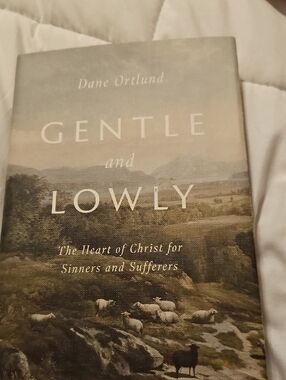 NEW Gentle and Lowly The Heart Of Christ For Sinners And Sufferers.